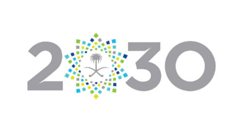 this is an image of the logo for the 2030 NIS